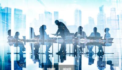 深度解析，海底捞羊毛现象背后的真相与观点探讨